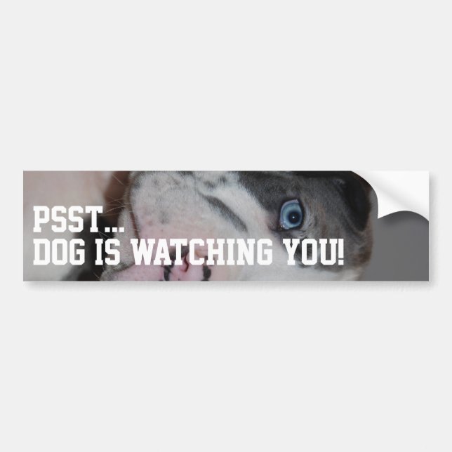 Customised Great Dane Photography  Bumper Sticker (Front)