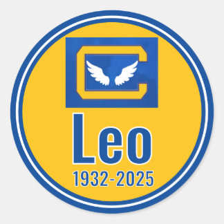 Customised Helmet Sticker Alternate Version - Leo