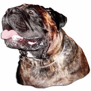 Customised Magnet Sculpture of Brindle Bullmastiff Photo Sculpture Magnet