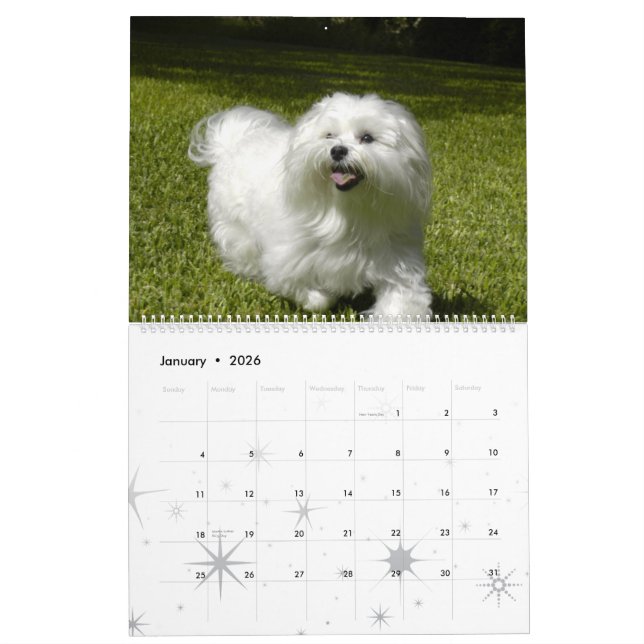 Customised Pet Calendar (Jan 2026)