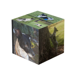 Customised Photo Cube