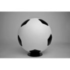 Customised Regulation Size Soccer Ball