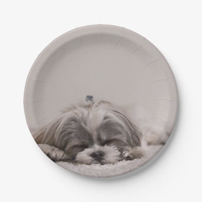 Customised Shih tzu Plate, Sleeping Dog Paper Plate (Front)