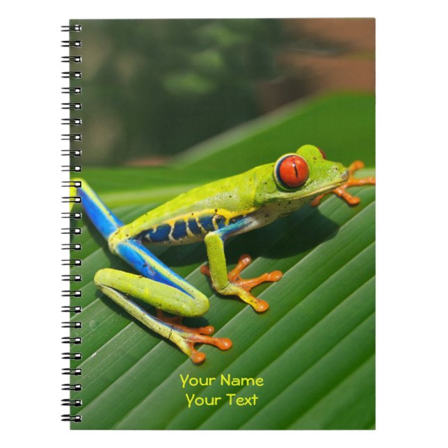 Customised Tropical rainforest green red-eyed Frog Notebook (Front)