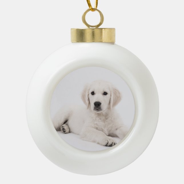 customised with photo pet memorial ceramic ball christmas ornament (Front)