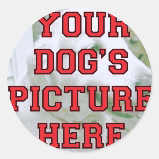 Customised Your Dog's Photo Classic Round Sticker (Front)
