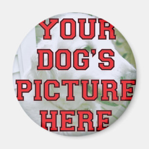 Customised Your Dog's Photo Magnet
