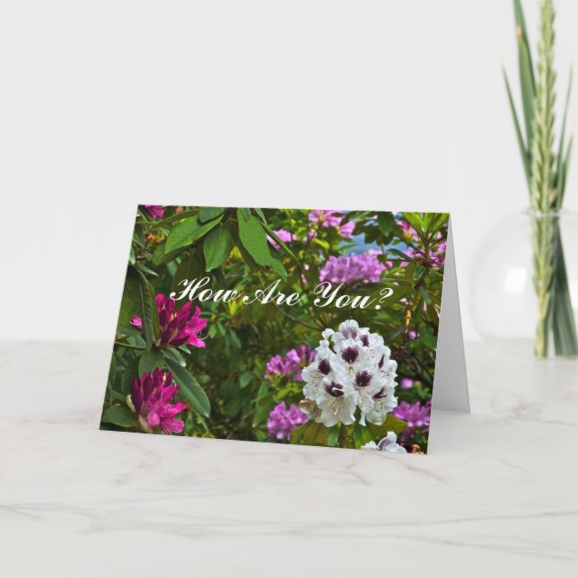 CUSTOMIZABLE CARD, "HOW ARE YOU?"/RHODODENDRON CARD (Front)