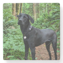 Customizable Coaster! Sip and stare at your pup