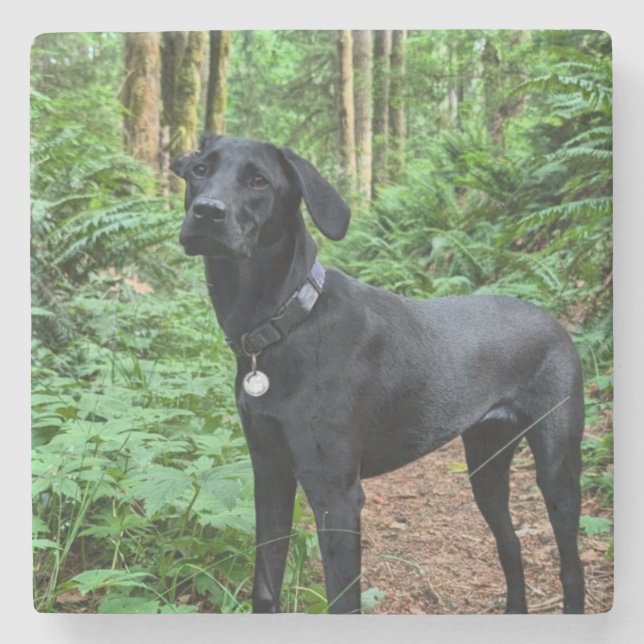 Customizable Coaster! Sip and stare at your pup Stone Coaster (Front)