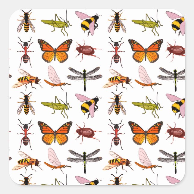 CUSTOMIZABLE COOL INSECT SQUARE STICKERS (Front)
