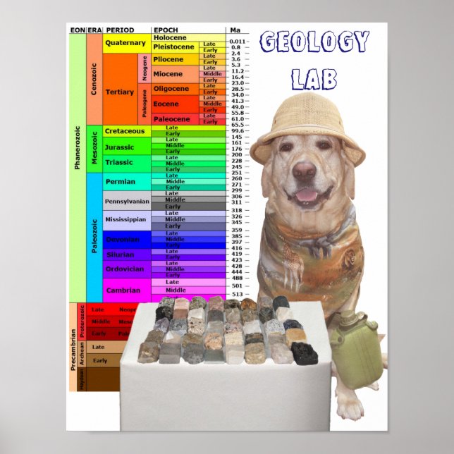 Customizable Geology Lab Poster (Front)