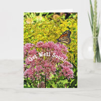 CUSTOMIZABLE GET WELL CARD/BUTTERFLY ON FLOWER