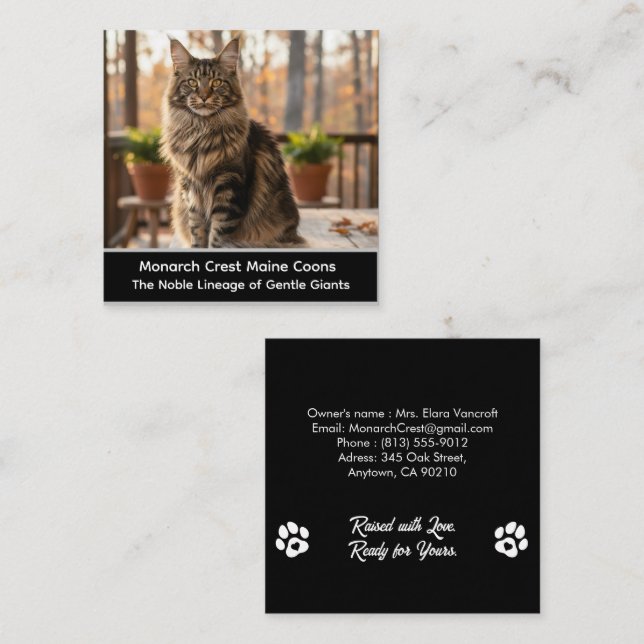 Customizable  Maine Coon Cat Cattery Business Card (Front/Back)