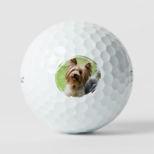 Customizable Pet Photo Pet Parents Golf Lover Gift Balls