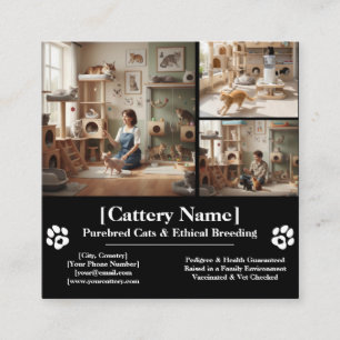 Customizable Professional Cattery and Cat Breeder  Square Business Card