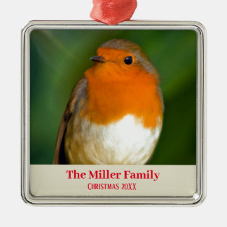 Customizable Robin Red Breast Metal Tree Decoration