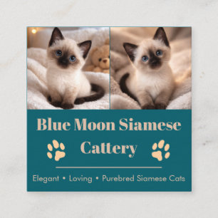 Customizable Siamese Cattery Business Card