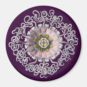 Customizable Vintage Haeckel Magnet