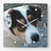 customize with your own pet wall clock