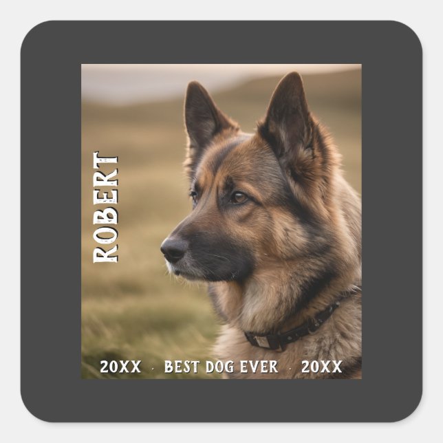 Customized pet memorial best dog ever square sticker (Front)