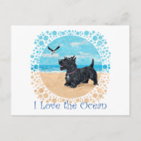 CUSTOMIZED Scottie Beach