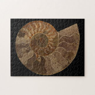 Cut Ammonite Fossil Jigsaw Puzzle