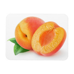 Cut apricots magnet
