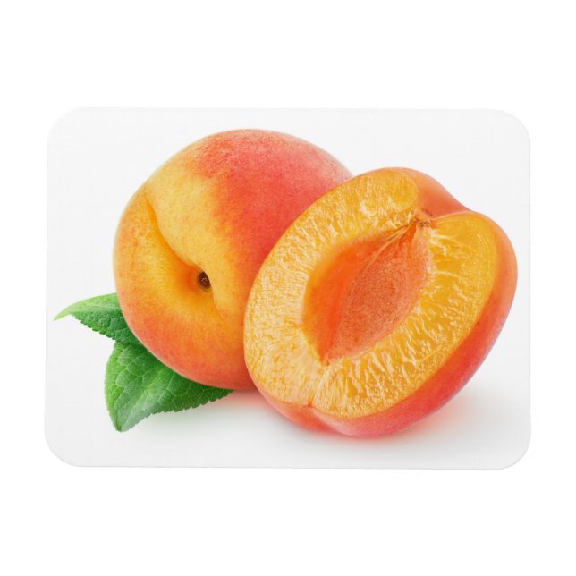 Cut apricots magnet (Horizontal)