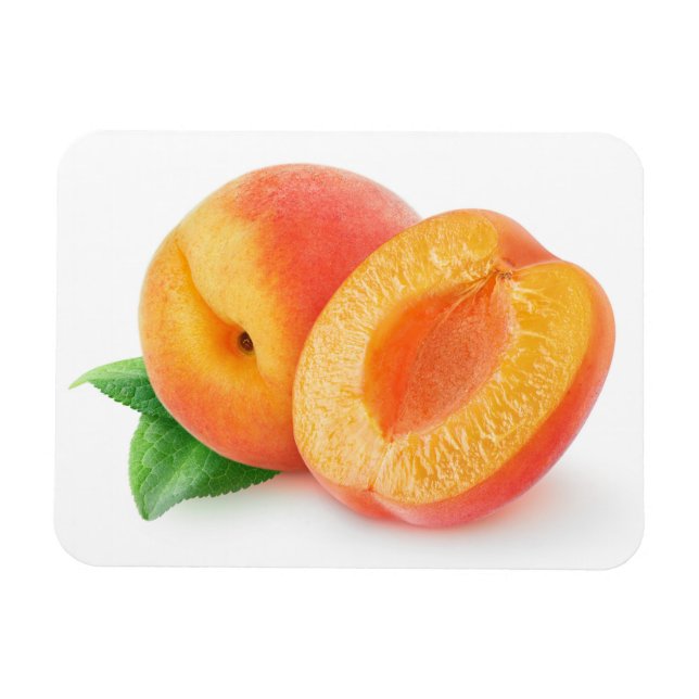 Cut apricots magnet (Horizontal)