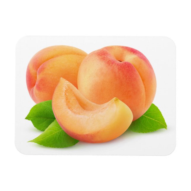 Cut apricots magnet (Horizontal)