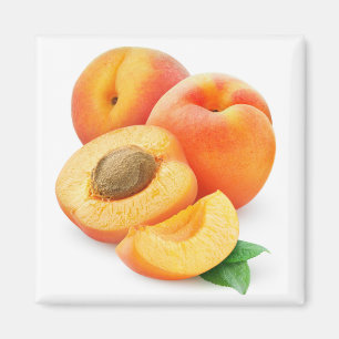 Cut apricots magnet