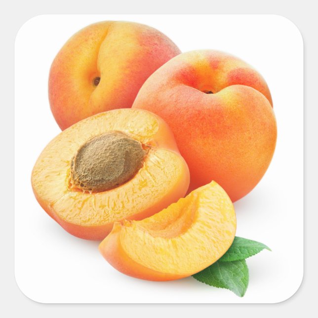 Cut apricots square sticker (Front)