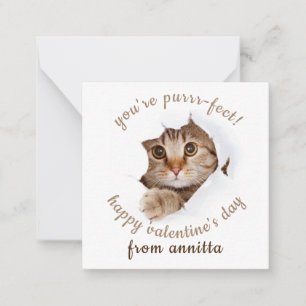 cut cat  valentine's day  note card