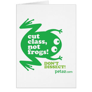 Cut Class, Not Frogs Card