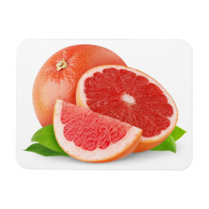 Cut grapefruit magnet