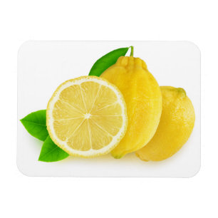 Cut lemons magnet
