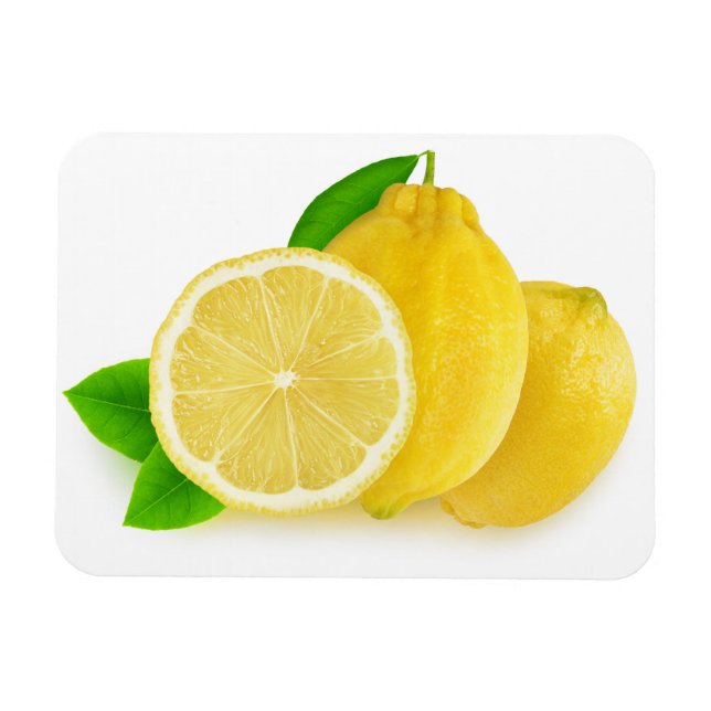 Cut lemons magnet (Horizontal)
