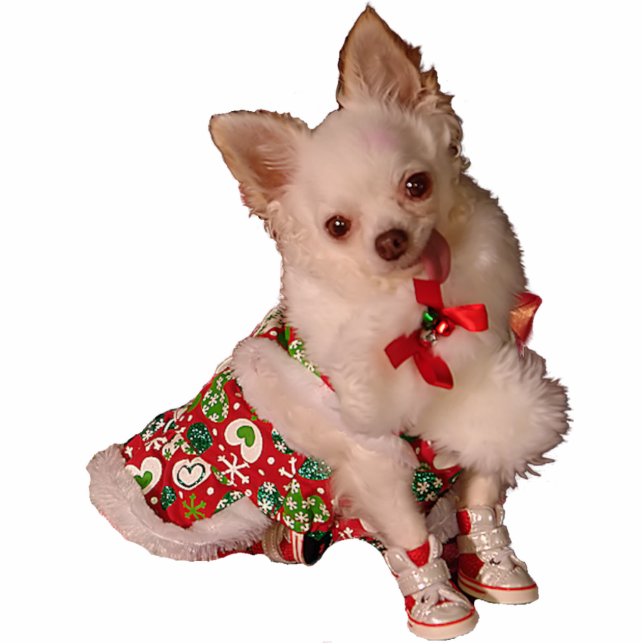 Cut Little Chihuahua Christmas Ornament Standing Photo Sculpture (Front)
