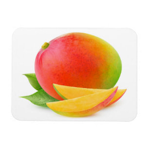 Cut mango magnet