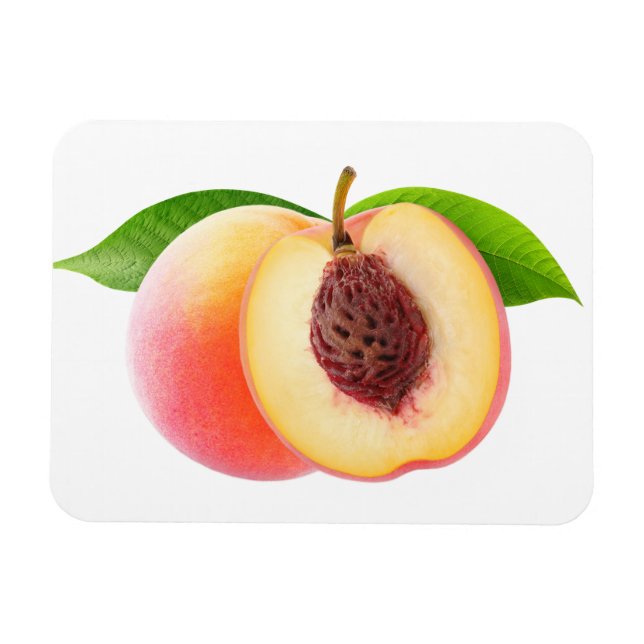 Cut peaches magnet (Horizontal)