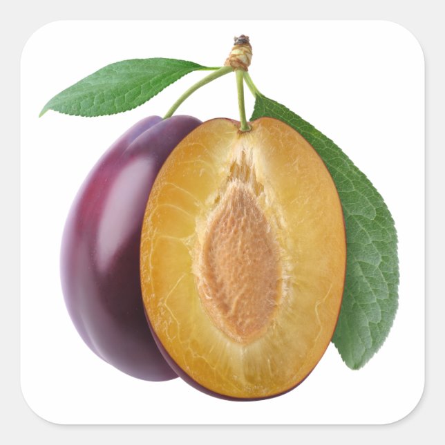 Cut plums square sticker (Front)