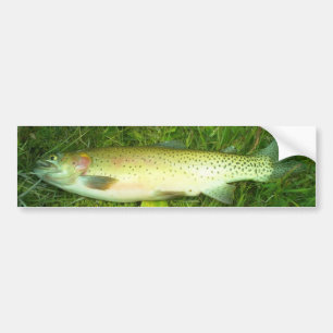 "cut throat trout" trout, fly, fishing bumper sticker