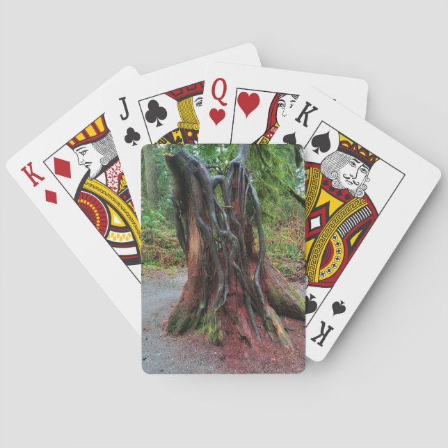 Cut Tree in the Forest Playing Cards (Back)