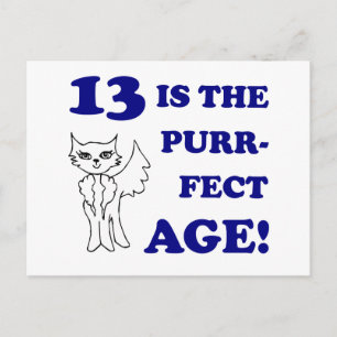 Cute 13th Birthday Present Postcard