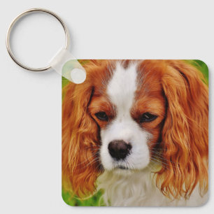 Cute 2 Photo Double Sided Pet Photo Key Ring