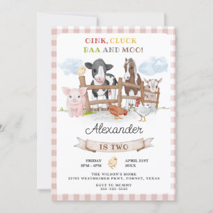 Cute 2nd Birthday Farm Animals Barnyard Kids Invitation