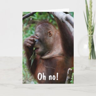 Cute 30th Birthday Animal Photo Card