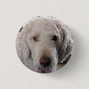 Cute     3 cm round badge