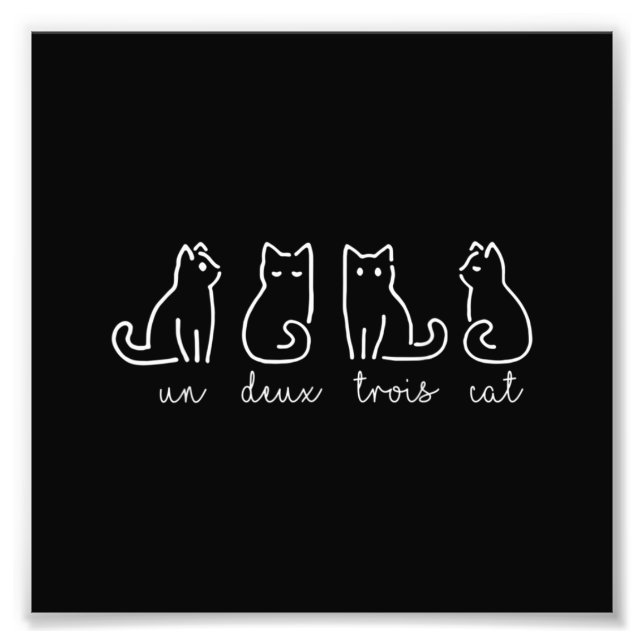 Cute Abstract Un Deux Trois Cat French Kitty Photo Print (Front)